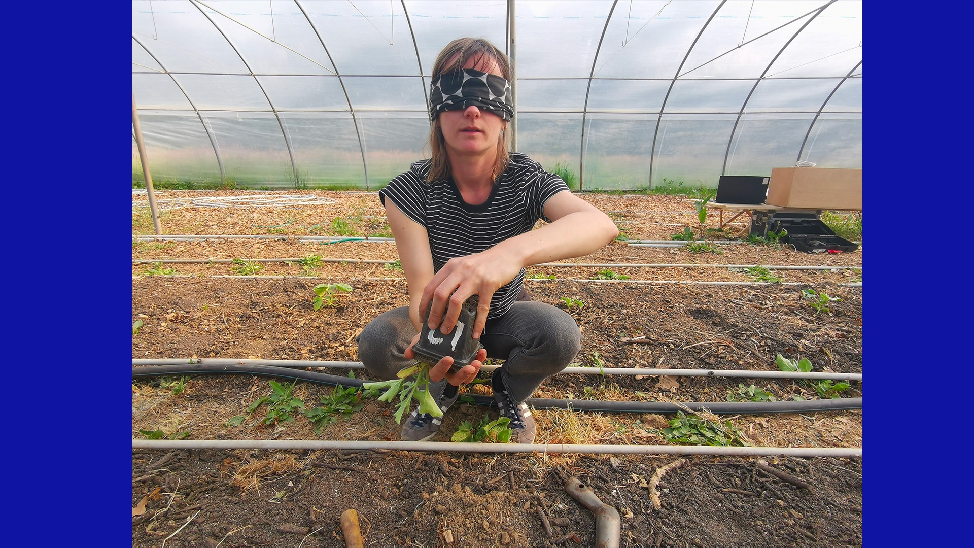 Les arts de l’agro-citoyenneté