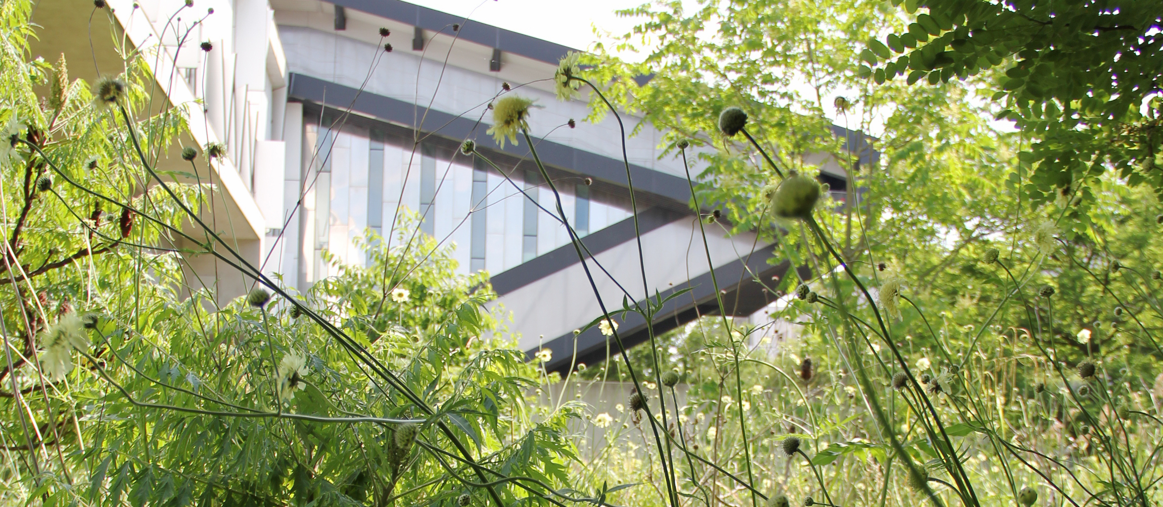Rendez-vous aux jardins 2026