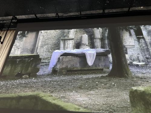 Photographie du MIP : Évocations antiques : sur les pas de Vénus