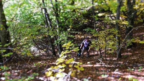 Photo, par Gregory Chatonsky