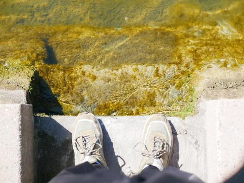Atelier d'expérimentation « Staging Ground : la ville comme scène des transitions » encadré par John Bingham-Hall