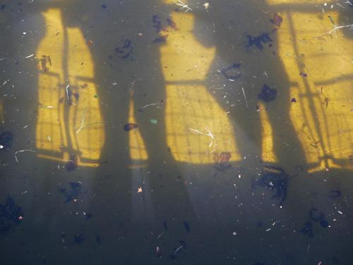 Atelier d'expérimentation « Staging Ground : la ville comme scène des transitions » encadré par John Bingham-Hall